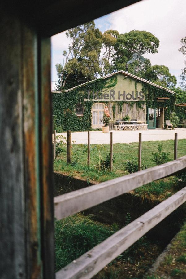 Converted Barn - Tiger House Hermitage 北哈夫洛克 外观 照片