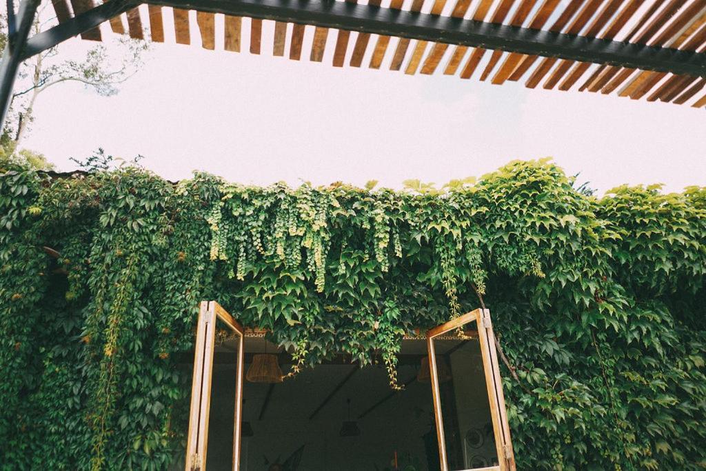 Converted Barn - Tiger House Hermitage 北哈夫洛克 外观 照片